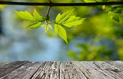 影响景深的几个要素_沈阳摄影学校