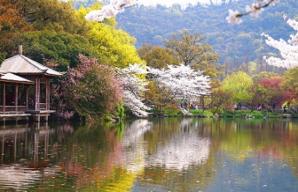 喜欢摄影你知道是什么摄影常用器材吗？沈阳摄影学校